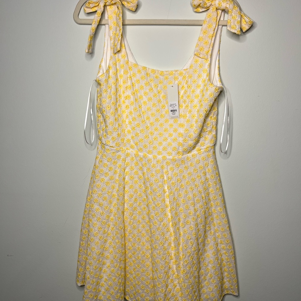 NWT Francesca‘s Dress